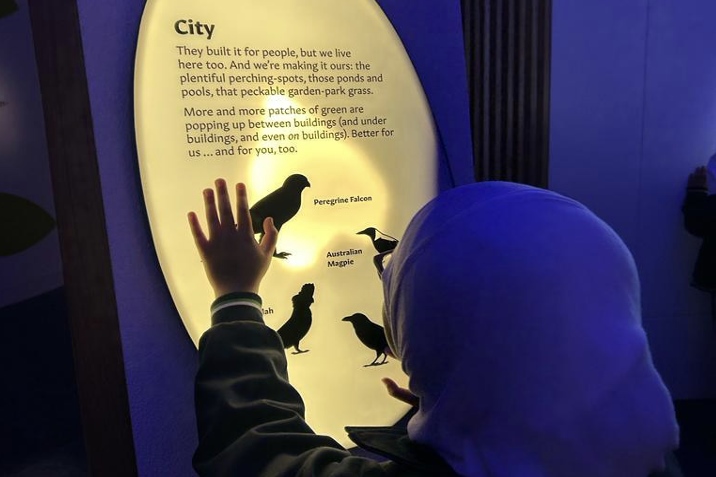 Grade 3 Excursion to Melbourne Museum and IMAX