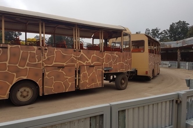 Excursion to Werribee Open Range Zoo