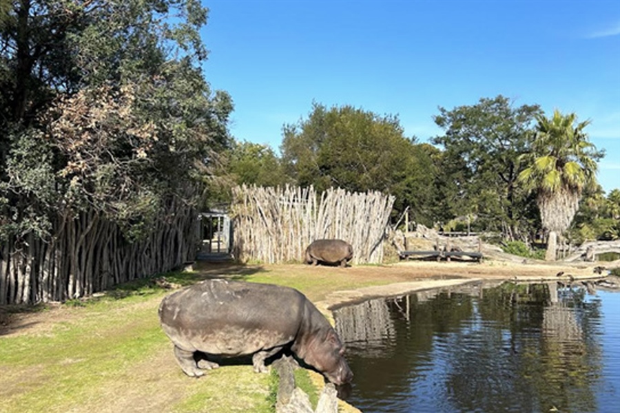 Years 10 and 11 Werribee Zoo Excursion